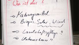 Berufseinstiegsseminar